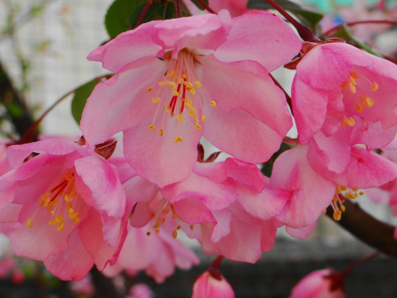 f:id:noir555:20120421001742j:image:w640 f:id:noir555:20120421001742j:image:w640