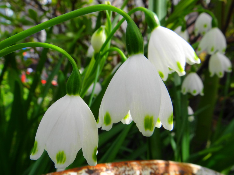 f:id:noir555:20120421001744j:image:w640 f:id:noir555:20120421001744j:image:w640