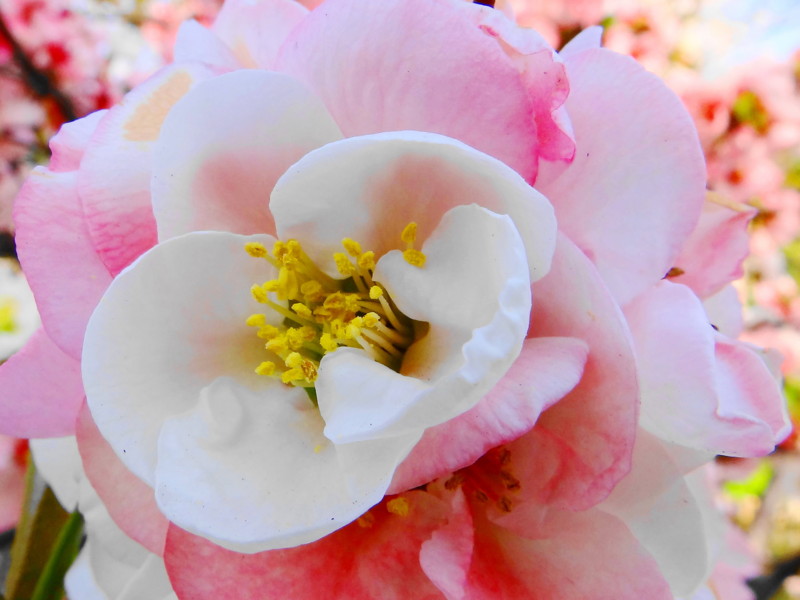 f:id:noir555:20120421001752j:image:w640 f:id:noir555:20120421001752j:image:w640