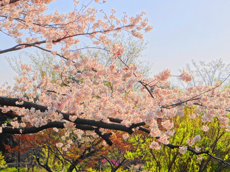 f:id:noir555:20120421001753j:image:w640 f:id:noir555:20120421001753j:image:w640