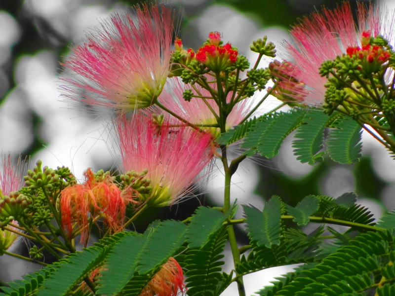 f:id:noir555:20120718103620j:image:w640