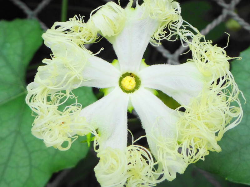 f:id:noir555:20120718103629j:image:w640