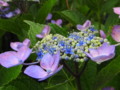 20120718110927