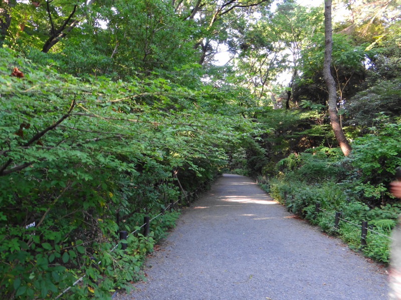 f:id:noir555:20120827233402j:image:w640