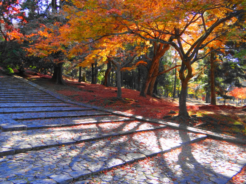 f:id:noir555:20121217213923j:image:w640 f:id:noir555:20121217213923j:image:w640