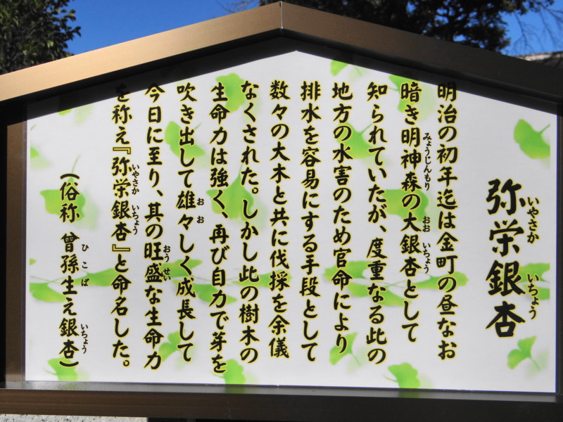 f:id:noir555:20130118182110j:image:w640 f:id:noir555:20130118182110j:image:w640