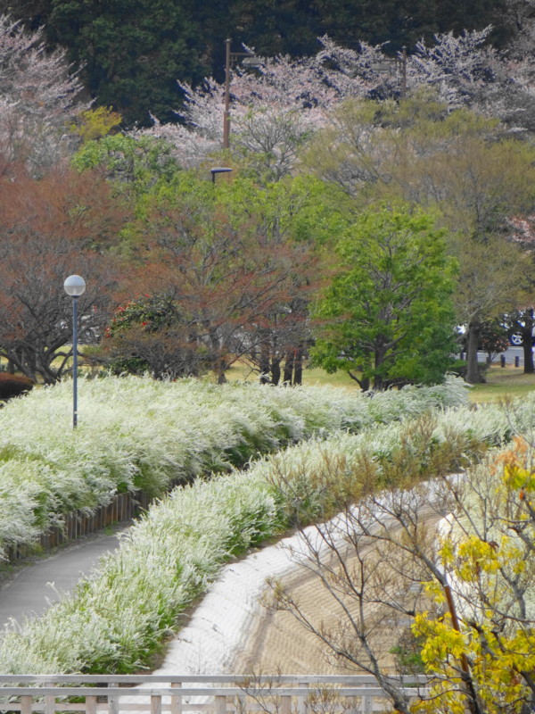 f:id:noir555:20130424110233j:image:w640 f:id:noir555:20130424110233j:image:w640