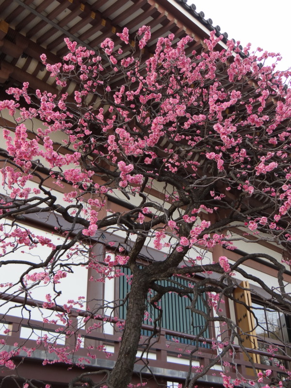 f:id:noir555:20130430221712j:image:w640 f:id:noir555:20130430221712j:image:w640