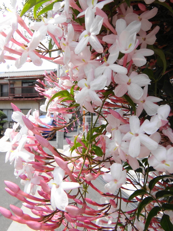 f:id:noir555:20130430225559j:image:w640 f:id:noir555:20130430225559j:image:w640