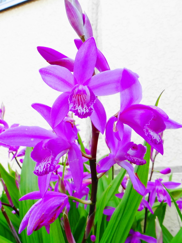 f:id:noir555:20130430225646j:image:w640 f:id:noir555:20130430225646j:image:w640