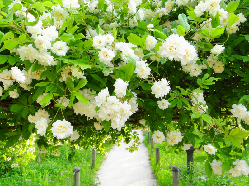 f:id:noir555:20130430230254j:image:w640 f:id:noir555:20130430230254j:image:w640