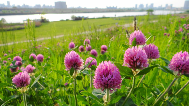 f:id:noir555:20130430230625j:image:w640 f:id:noir555:20130430230625j:image:w640