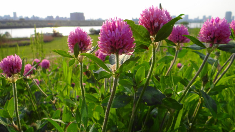 f:id:noir555:20130430230642j:image:w640 f:id:noir555:20130430230642j:image:w640