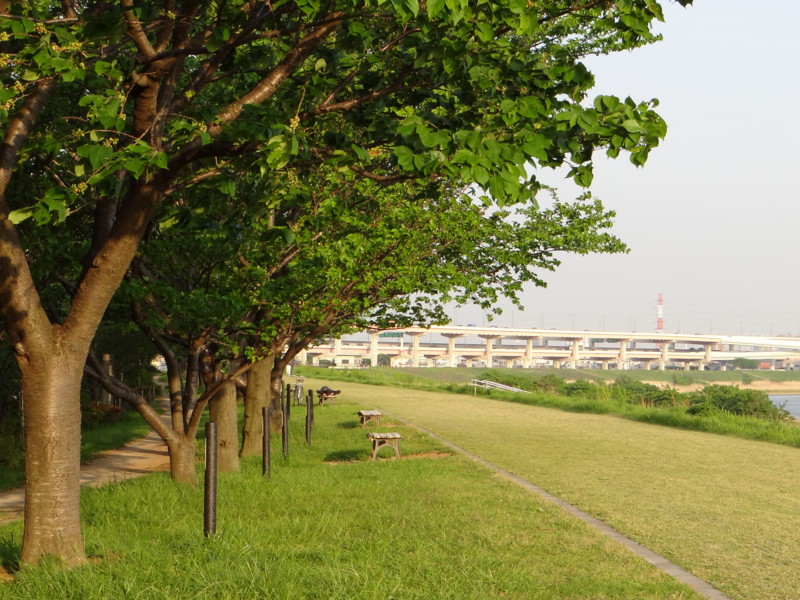 f:id:noir555:20130430231802j:image:w640 f:id:noir555:20130430231802j:image:w640