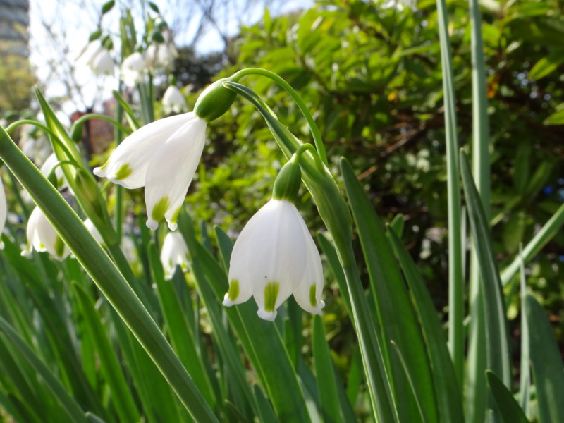 f:id:noir555:20130501105845j:image:w640 f:id:noir555:20130501105845j:image:w640