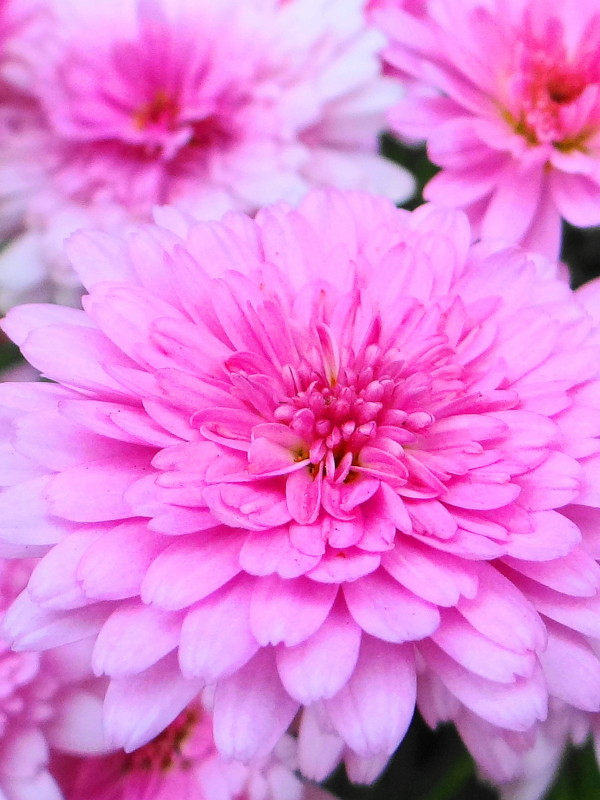 f:id:noir555:20130507233230j:image:w640 f:id:noir555:20130507233230j:image:w640