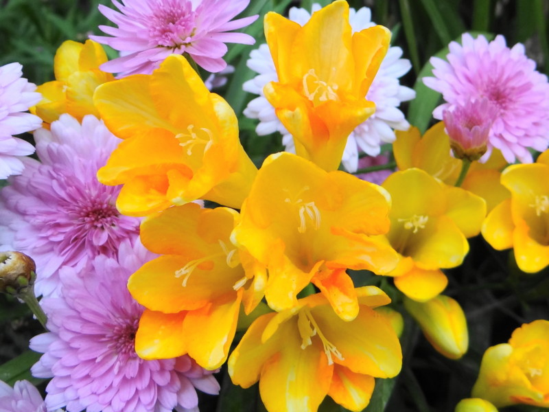 f:id:noir555:20130507233234j:image:w640 f:id:noir555:20130507233234j:image:w640