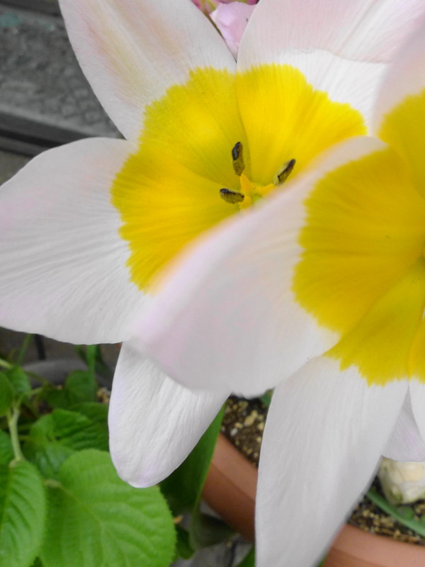 f:id:noir555:20130507233514j:image:w640 f:id:noir555:20130507233514j:image:w640