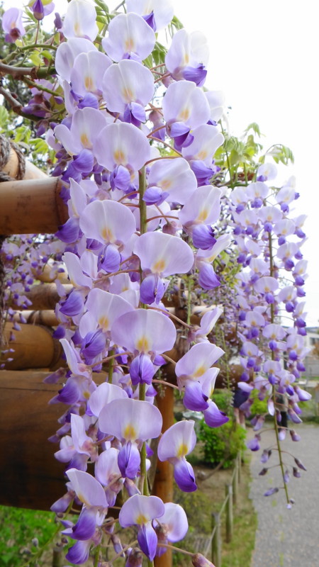 f:id:noir555:20130507233558j:image:w640 f:id:noir555:20130507233558j:image:w640