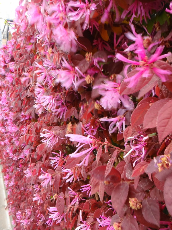 f:id:noir555:20130507235101j:image:w640 f:id:noir555:20130507235101j:image:w640