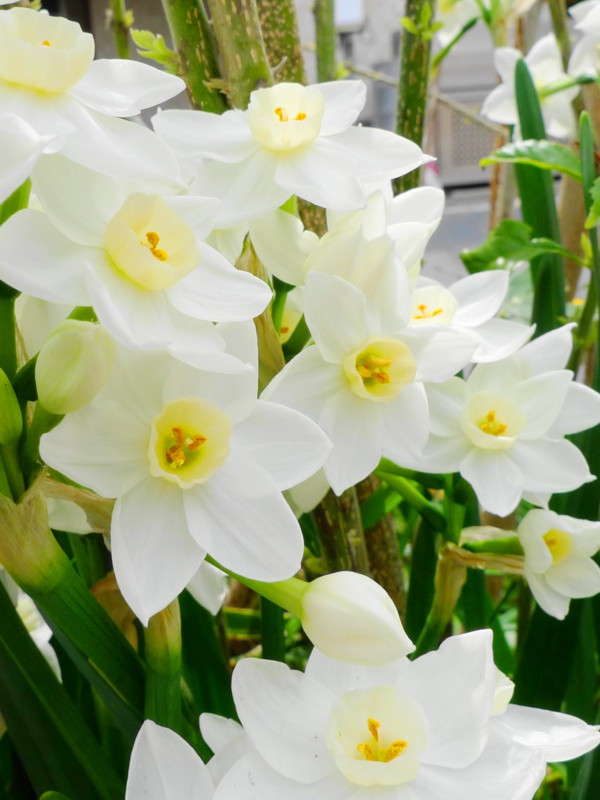 f:id:noir555:20130508001058j:image:w640 f:id:noir555:20130508001058j:image:w640