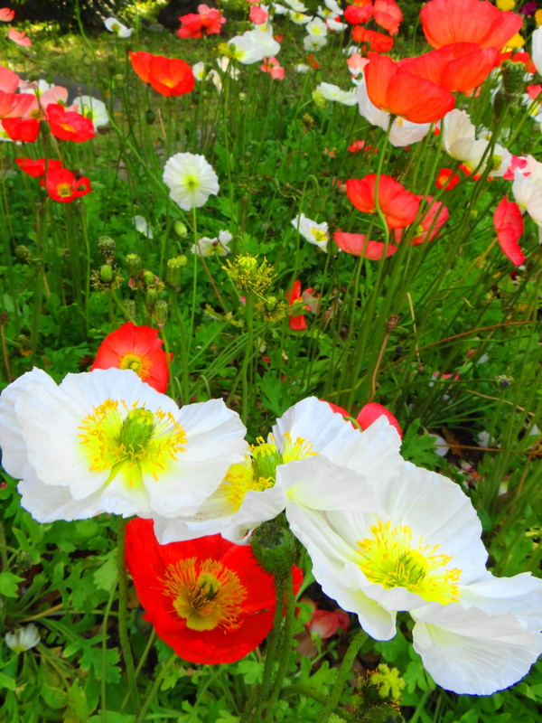 f:id:noir555:20130516123533j:image:w640 f:id:noir555:20130516123533j:image:w640