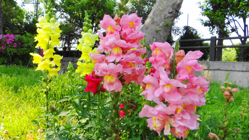 f:id:noir555:20130516123620j:image:w640 f:id:noir555:20130516123620j:image:w640