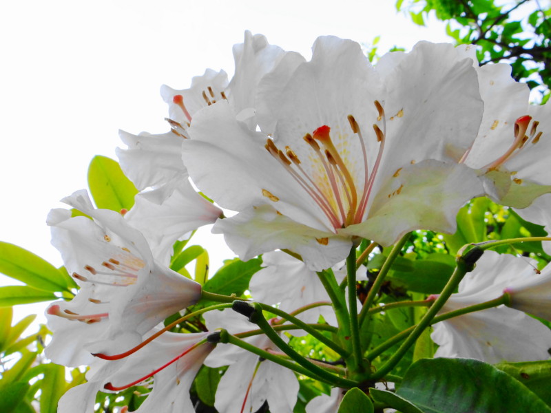 f:id:noir555:20130516133315j:image:w640 f:id:noir555:20130516133315j:image:w640