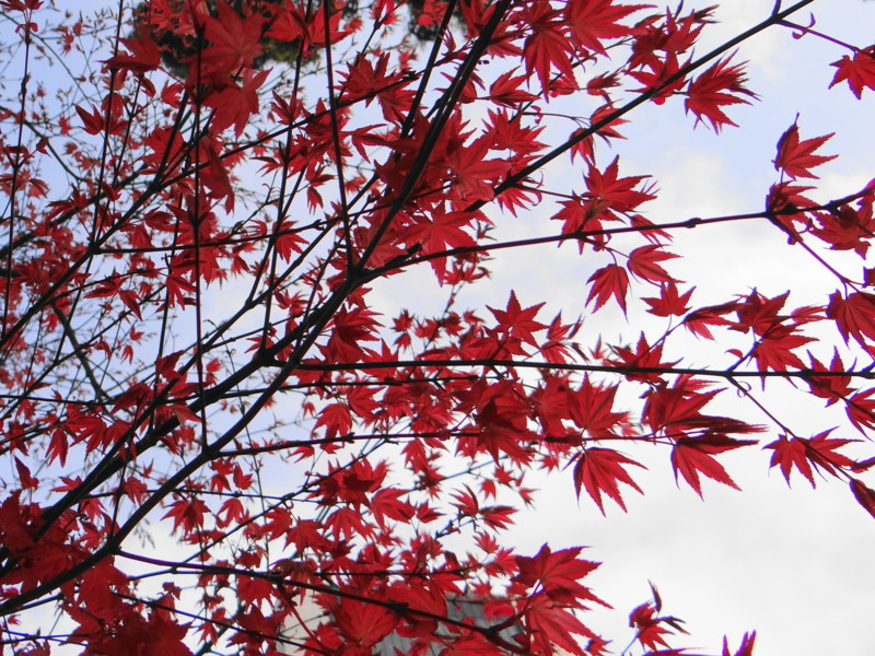 f:id:noir555:20130516202331j:image:w640 f:id:noir555:20130516202331j:image:w640