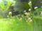 20130521103827