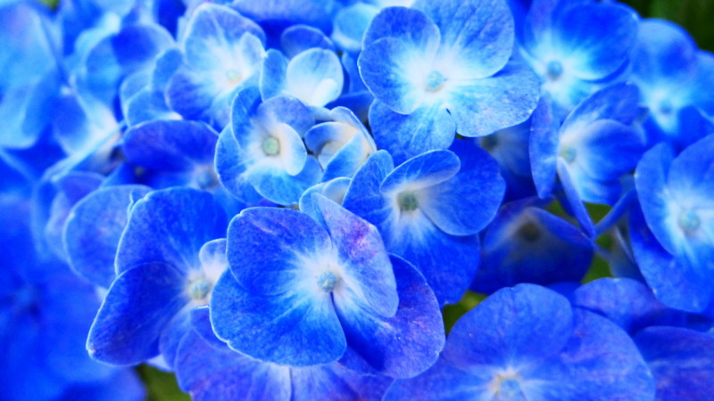 f:id:noir555:20130603191125j:image:w640