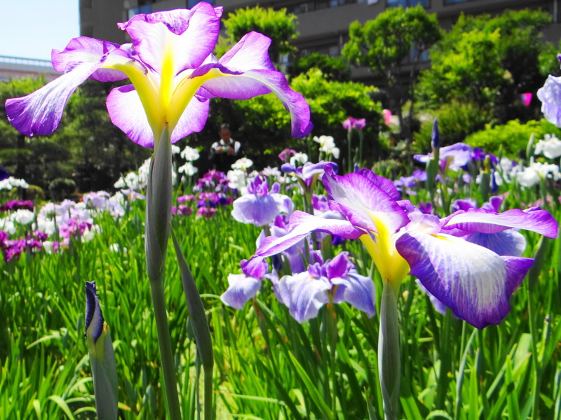 f:id:noir555:20130603191523j:image:w640