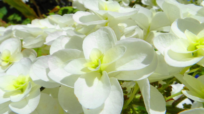 f:id:noir555:20130603191554j:image:w640