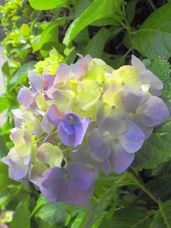 f:id:noir555:20130604153557j:image:w640