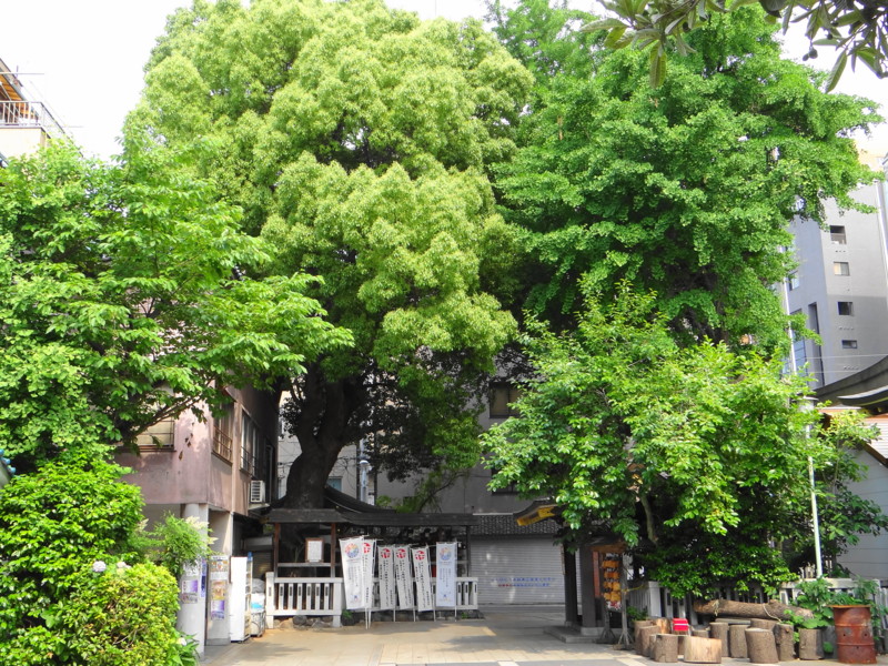 f:id:noir555:20130604154328j:image:w640