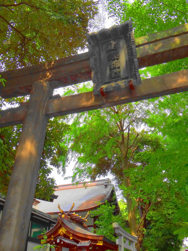 f:id:noir555:20130604154935j:image:w640