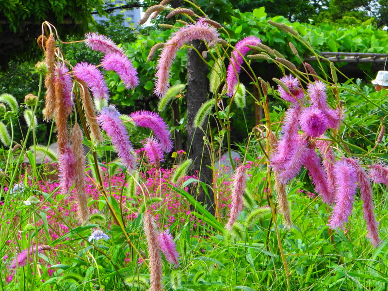 f:id:noir555:20130703002726j:image:w640