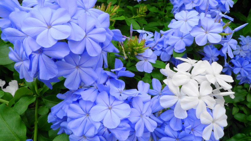 f:id:noir555:20130703003934j:image:w640