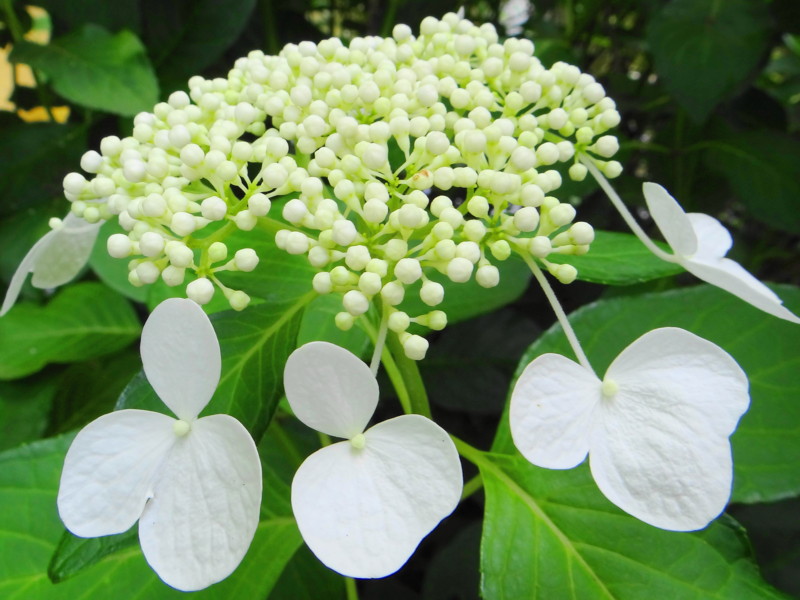 f:id:noir555:20130708112808j:image:w640 f:id:noir555:20130708112808j:image:w640