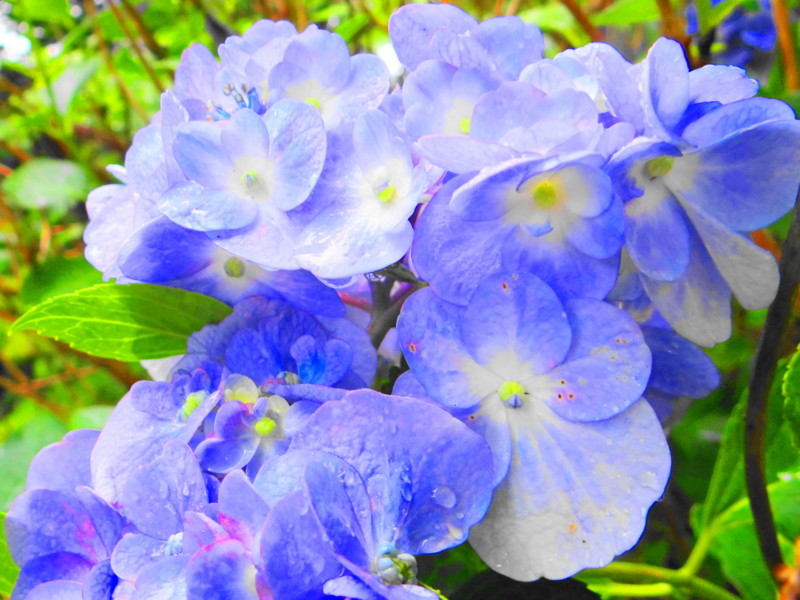 f:id:noir555:20130917112741j:image:w640 f:id:noir555:20130917112741j:image:w640