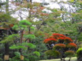 20131111234803