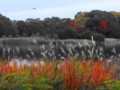20131112144140