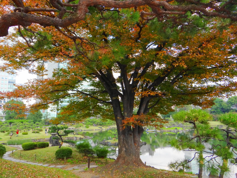 f:id:noir555:20131128174215j:image:w640 f:id:noir555:20131128174215j:image:w640