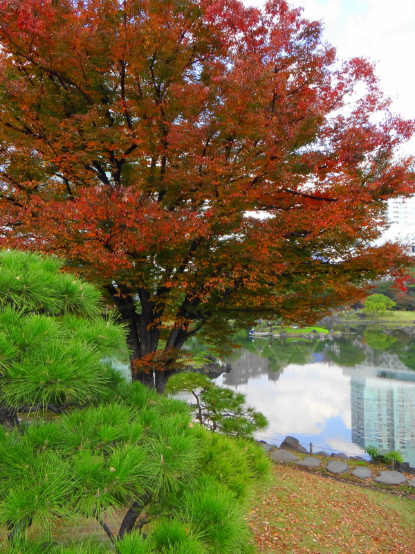f:id:noir555:20131128174238j:image:w640 f:id:noir555:20131128174238j:image:w640