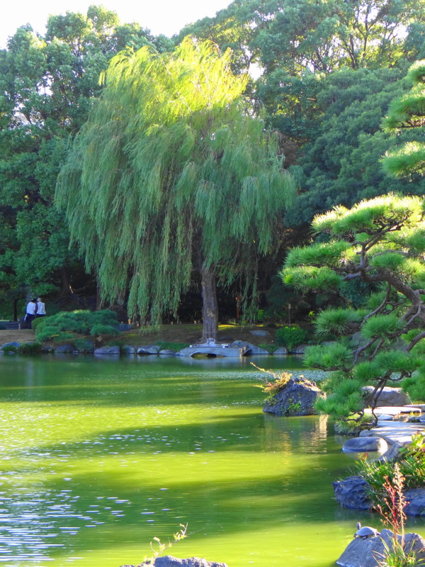f:id:noir555:20131207211145j:image:w640 f:id:noir555:20131207211145j:image:w640