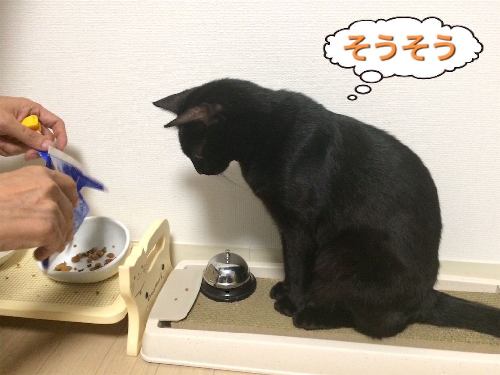 f:id:noirdaily:20160823072612j:image