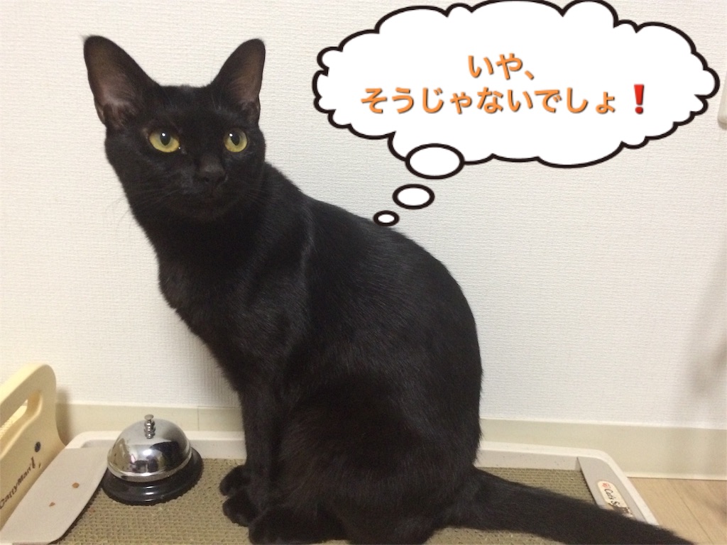 f:id:noirdaily:20160823072635j:image