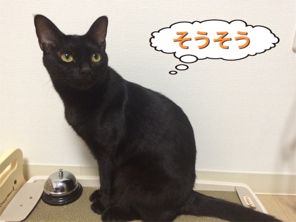 f:id:noirdaily:20160823072701j:image