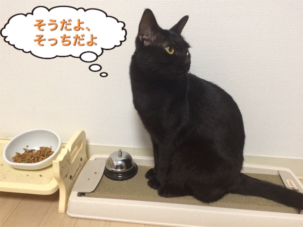 f:id:noirdaily:20160823072711j:image