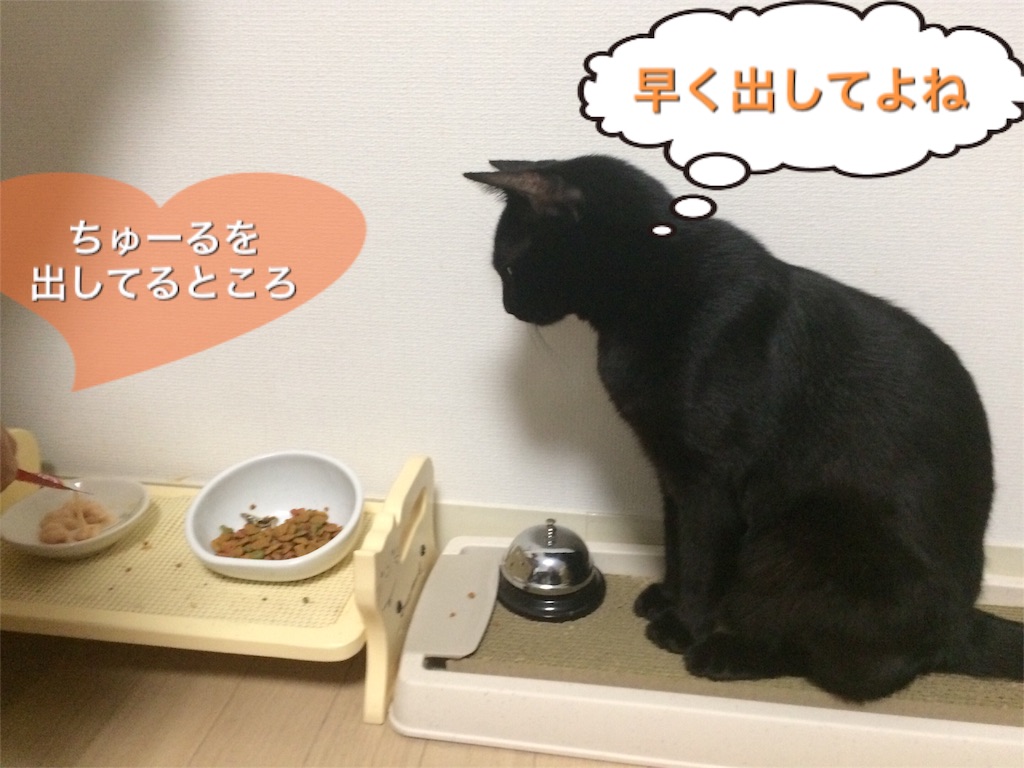 f:id:noirdaily:20160823072725j:image